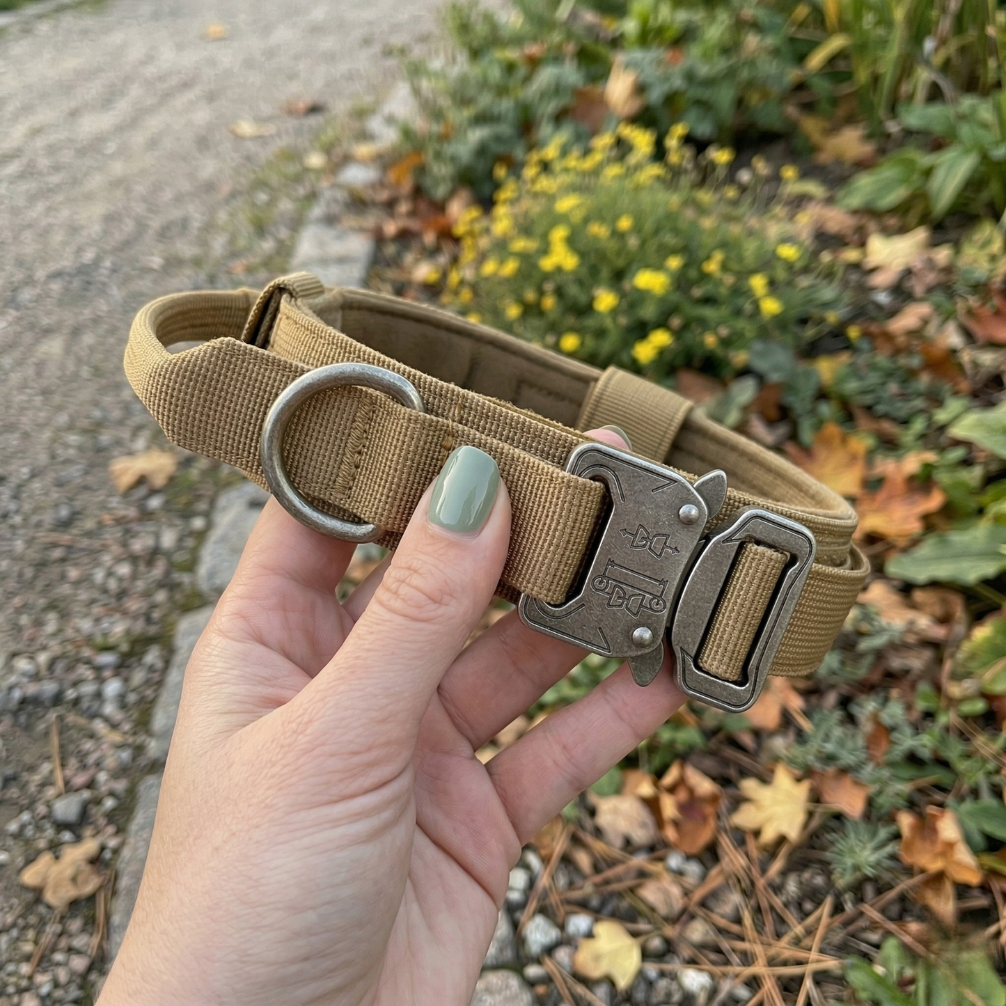 Hand holding a brown tactical dog collar with a metal buckle against a natural background.