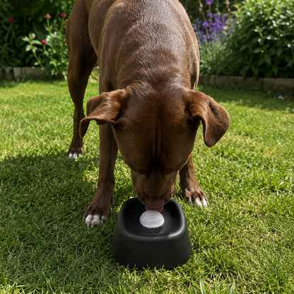 Brown dog drinking from a black lick bowl on grass with a garden background