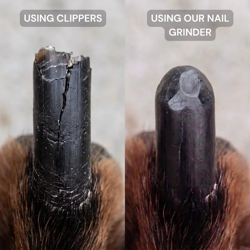 dog nail grinder and clippers