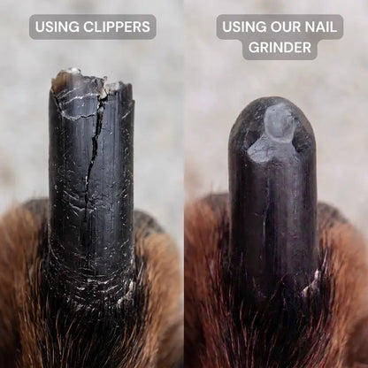 dog nail grinder and clippers