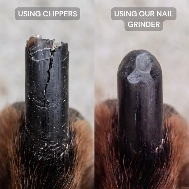 dog nail grinder and clippers