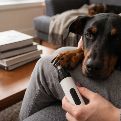 dog paw care