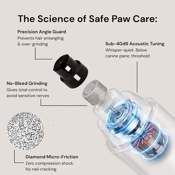 Dog paw care