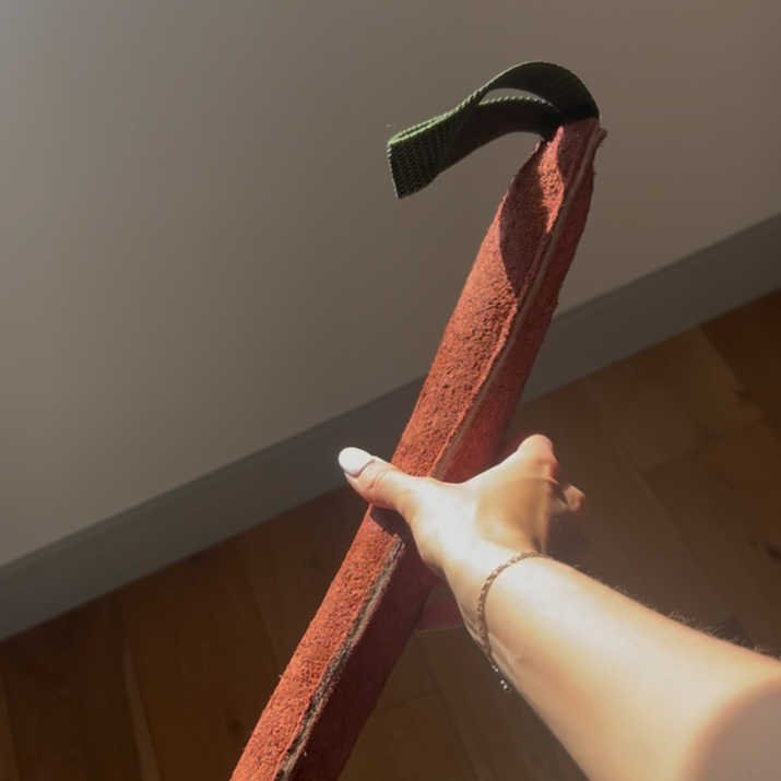 dog obedience training tool