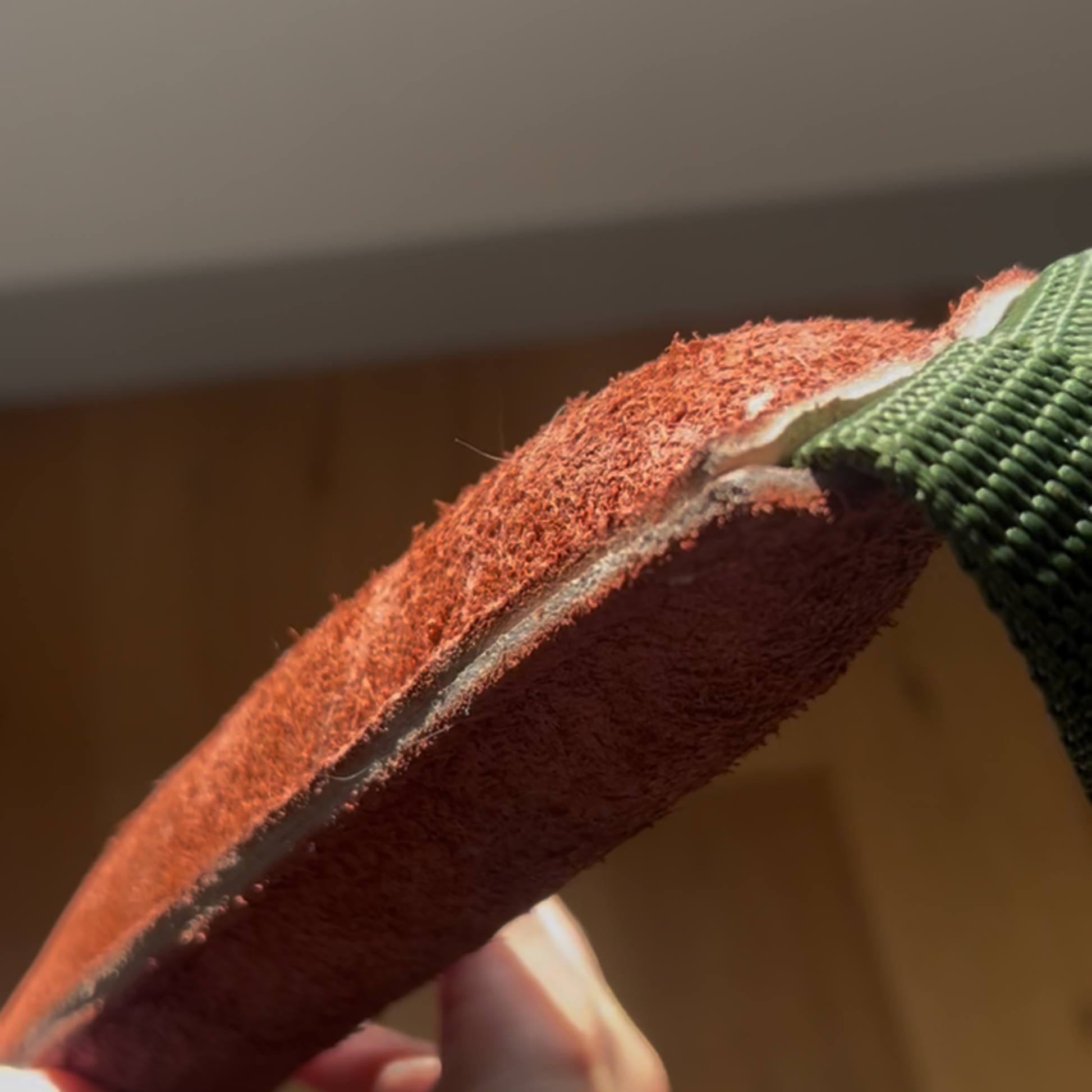 durable dog tug toy