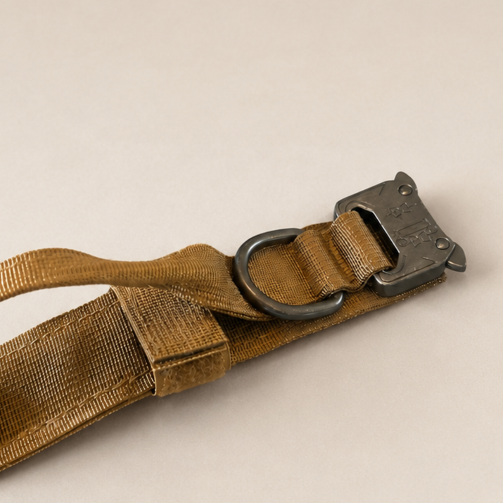 Brown leather collar with metal buckle on a beige background