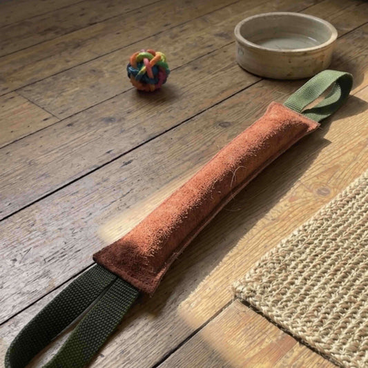 dog toy with bowl in background