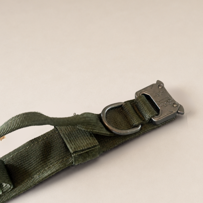 Green tactical collar with a metal buckle on a beige background