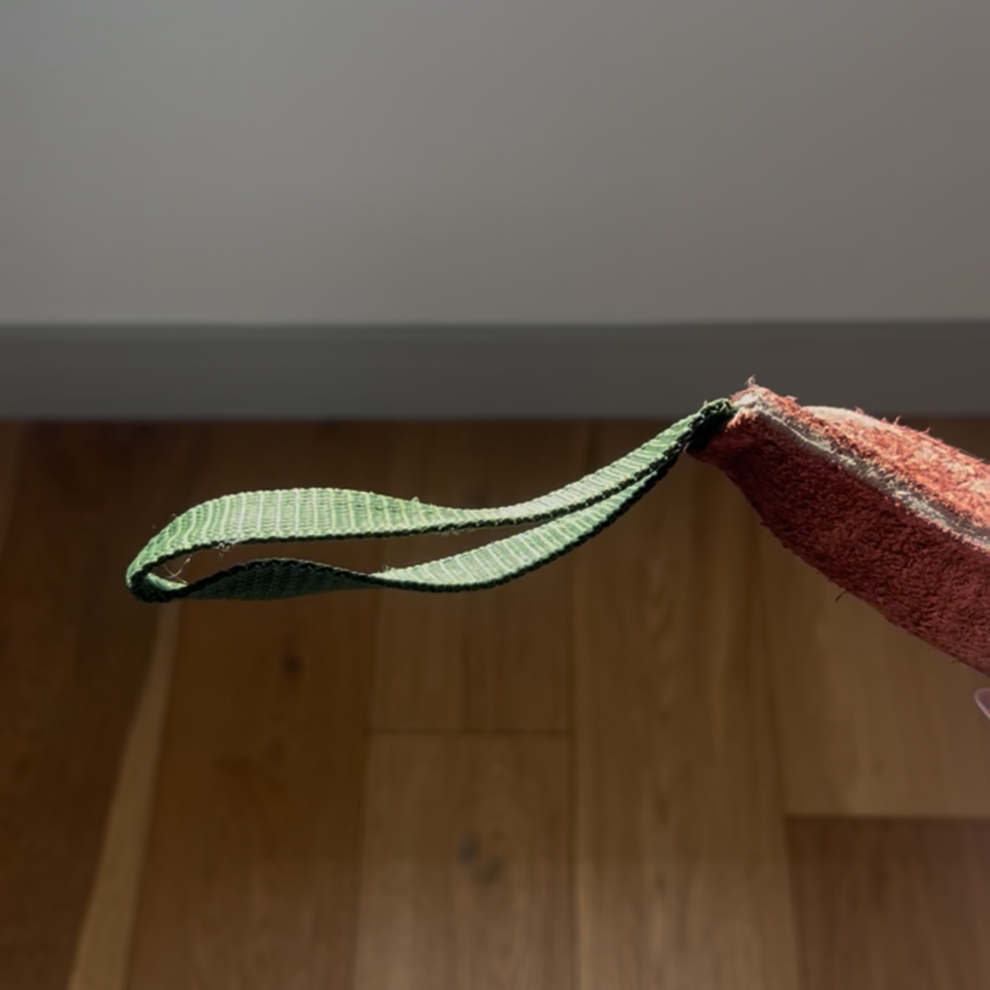 dog tug toy