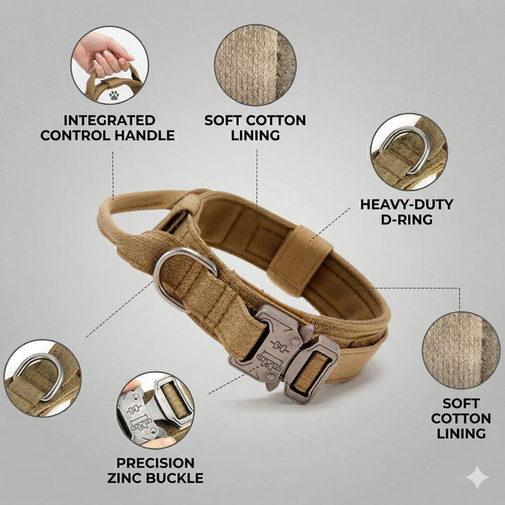 training dog collar