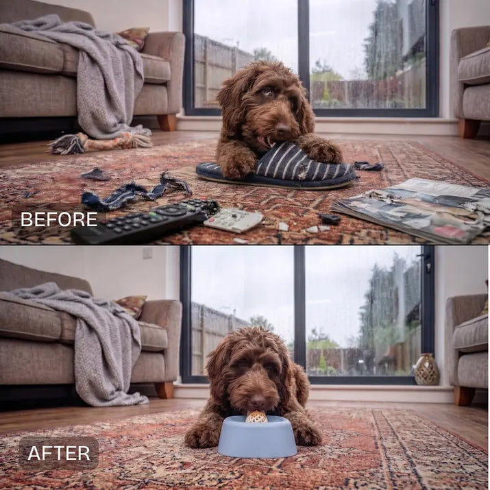  split-screen before-and-after comparison showing a brown curly-haired dog in a living room. The top 'BEFORE' image shows the dog chewing on a striped slipper on a patterned rug, with a remote and magazines scattered nearby. The after shows a dog calming licking a lick bowl
