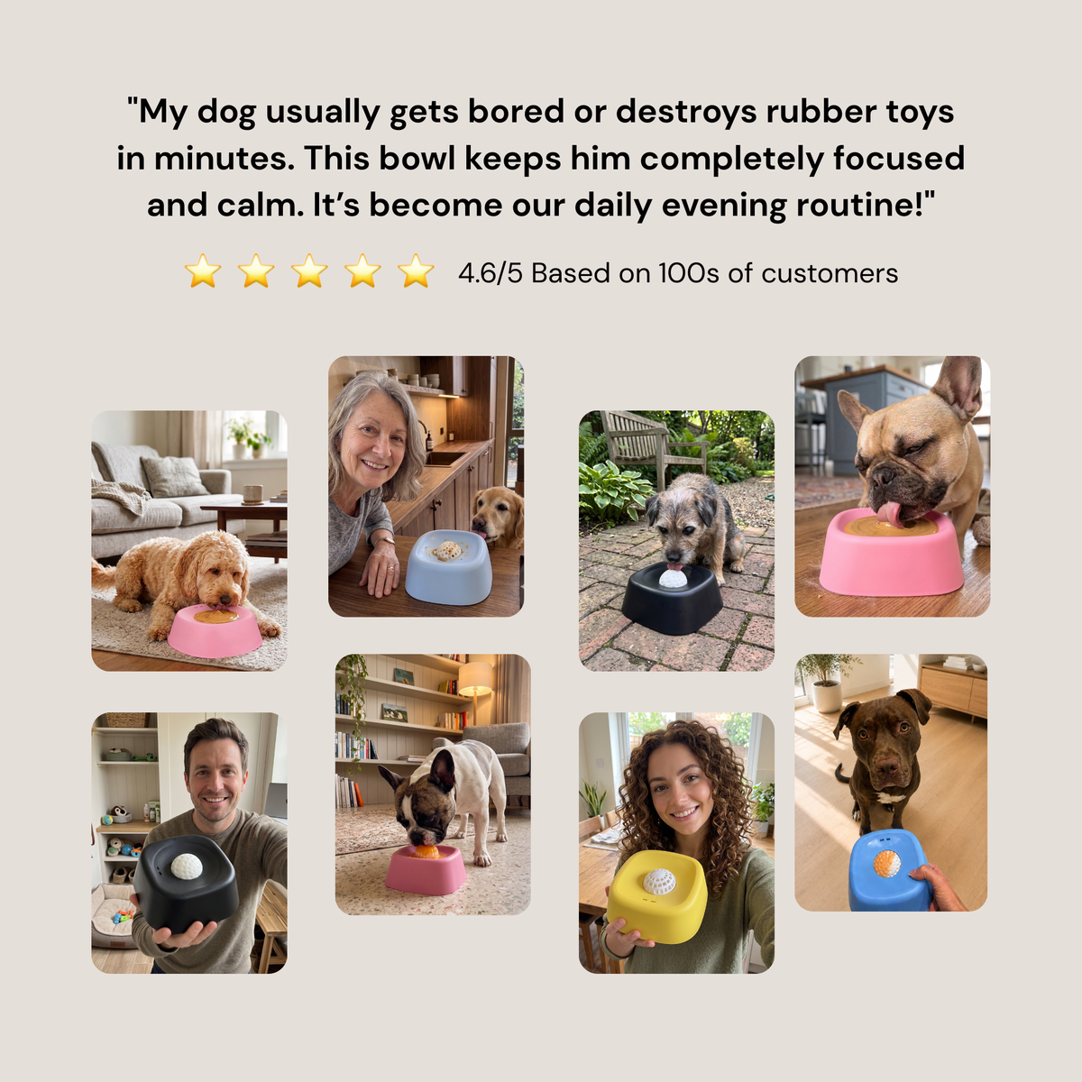 A promotional graphic with a customer testimonial at the top and a collage of eight photos showing dogs using colorful lick bowls in home and outdoor settings. The text reads: 'My dog usually gets bored or destroys rubber toys in minutes.