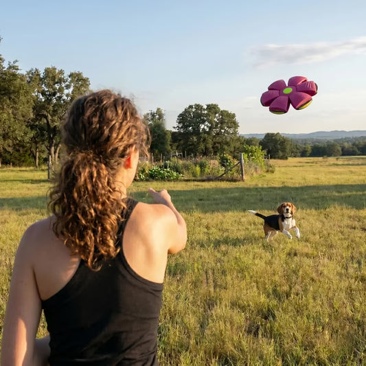 Person and dog playing with a frisbee in a field