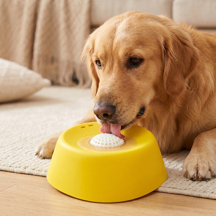 Dog interacting with a yellow lick bowl on a wooden floor.