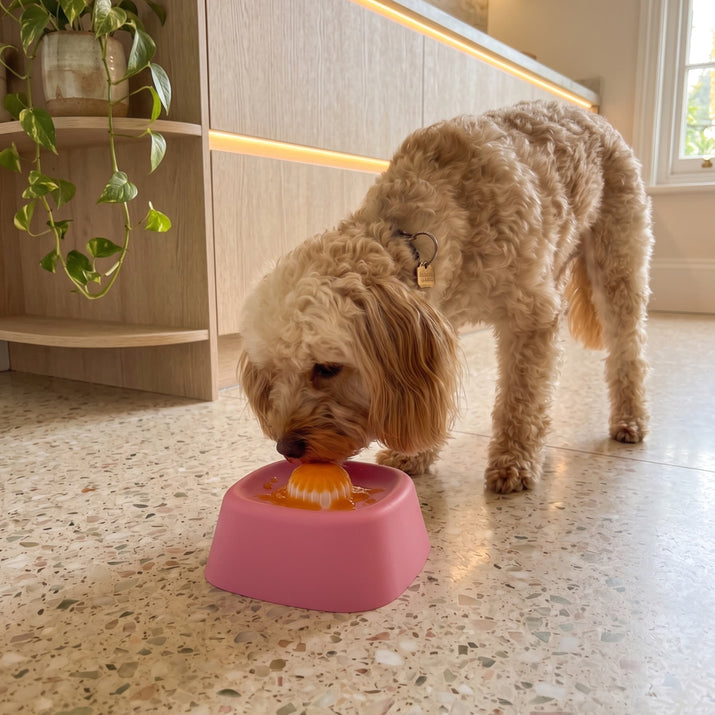 Dog eating from a pink stimulation bowl on a speckled floor with a plant in the background