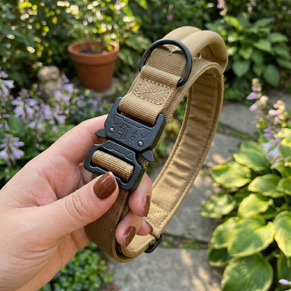 Black Tactical Dog Collar