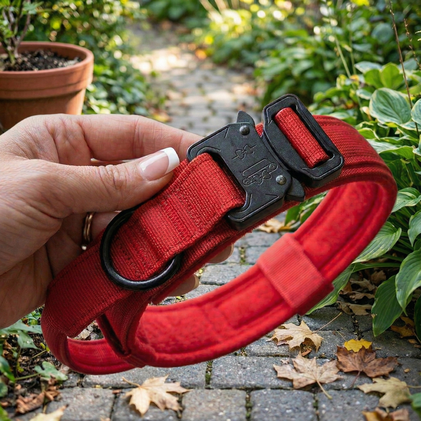 Red collar with black clasp in garden