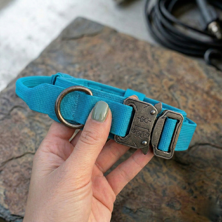 Blue dog collar with metal hardware held by a hand on a textured surface.