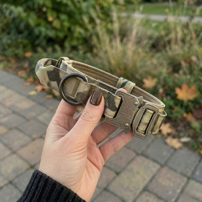 Camouflage dog collar with metal buckle held by a hand outdoors