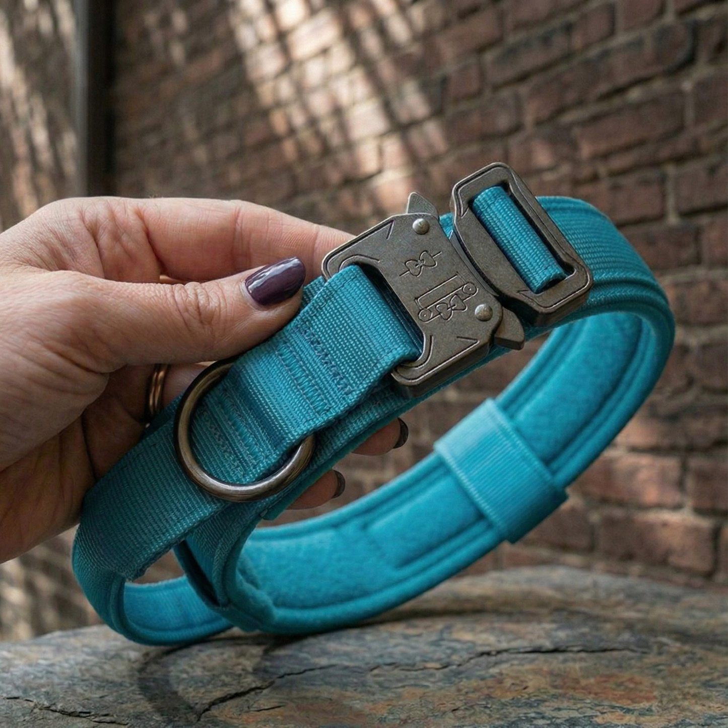 Blue tactical collar
