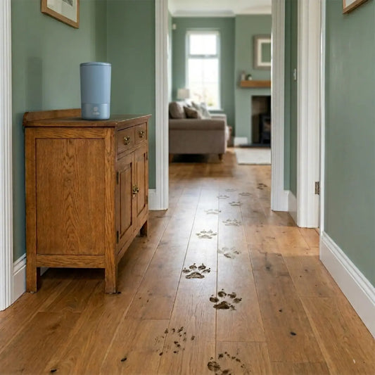 electronic paw cleaner
