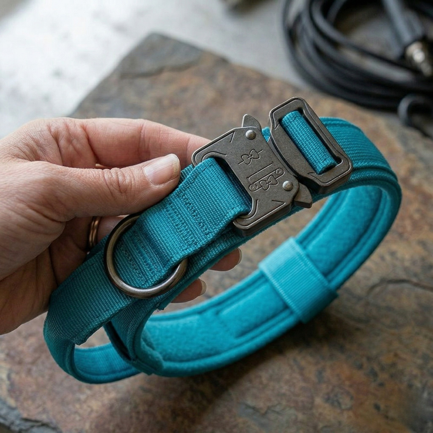Blue dog collar with silver clasp