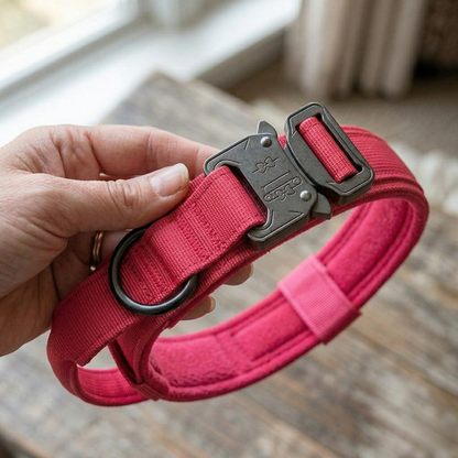 Pink collar in living room
