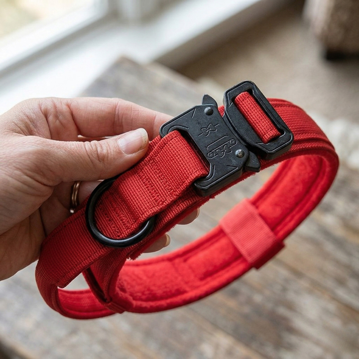 Red dog collar with a black buckle held by a hand on a blurred background