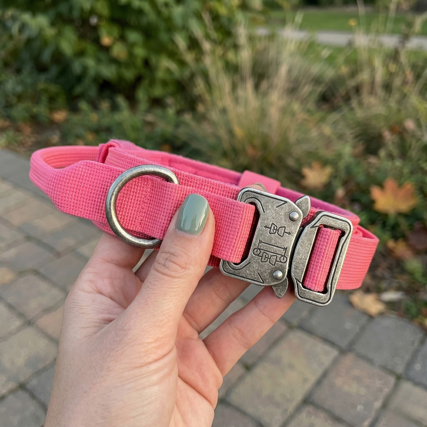 Pink dog collar with metal buckle held by a hand outdoors