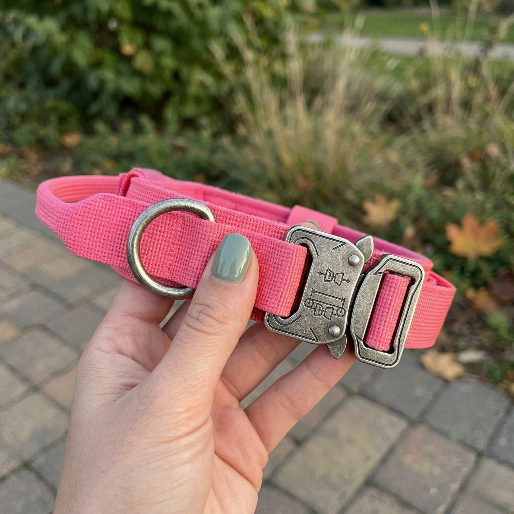 Pink dog collar with metal buckle held by a hand outdoors